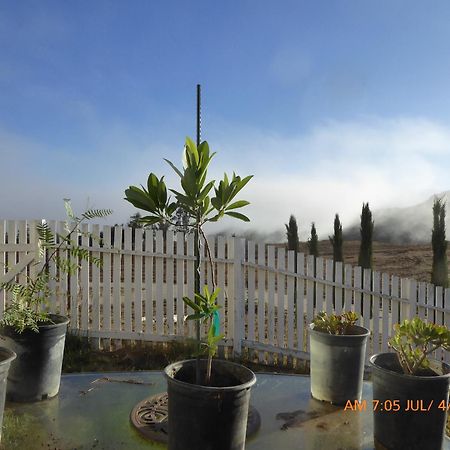 Mansion On The Hill Let 4 Rooms, 5Th Cost Extra Sage Exterior foto